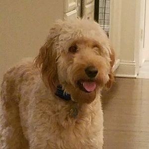 Meet your Posher, Christine